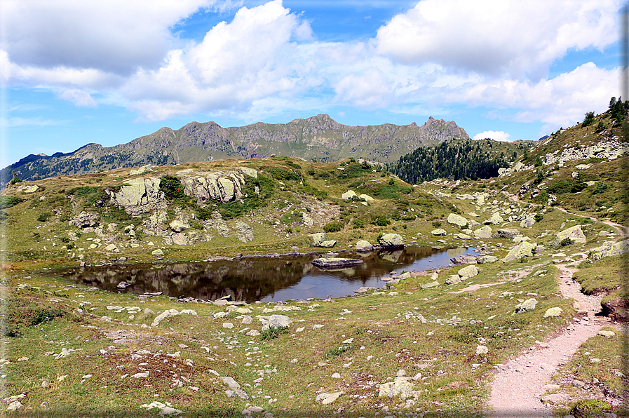 foto Forcella di Montalon